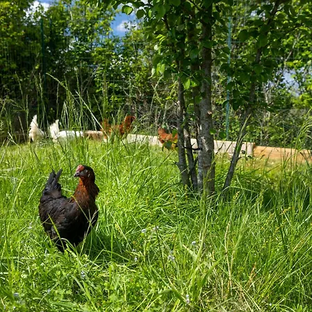 빌라 La Horizon Piscine Privee Salvagnac-Cajarc