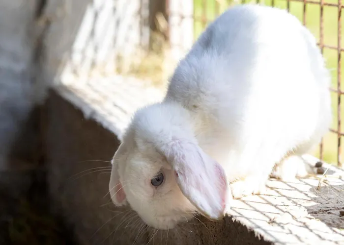 别墅 La Horizon Piscine Privee *