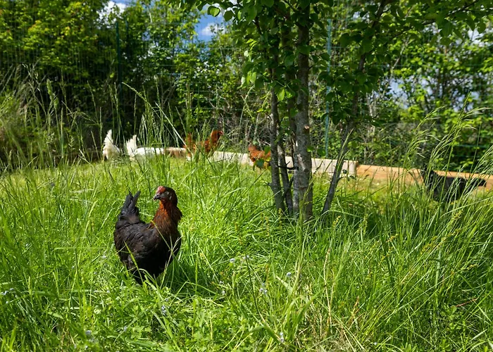 别墅 La Horizon Piscine Privee Salvagnac-Cajarc